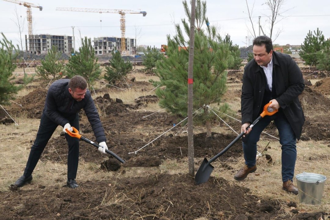 В донской столице создается новая парковая зона отдыха