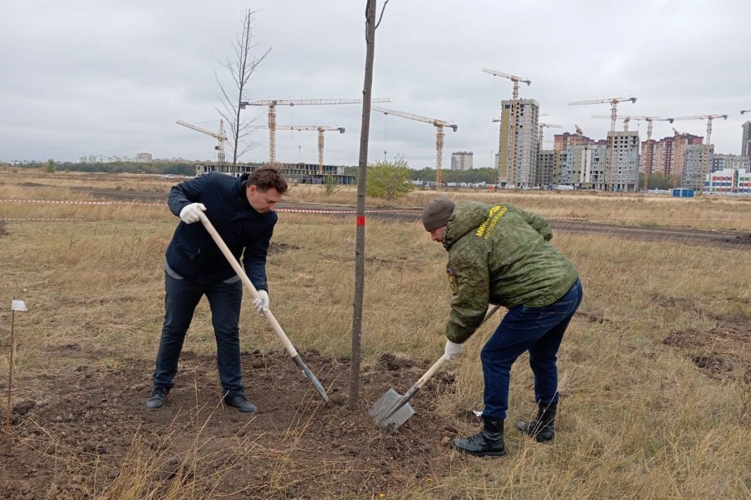 В донской столице создается новая парковая зона отдыха