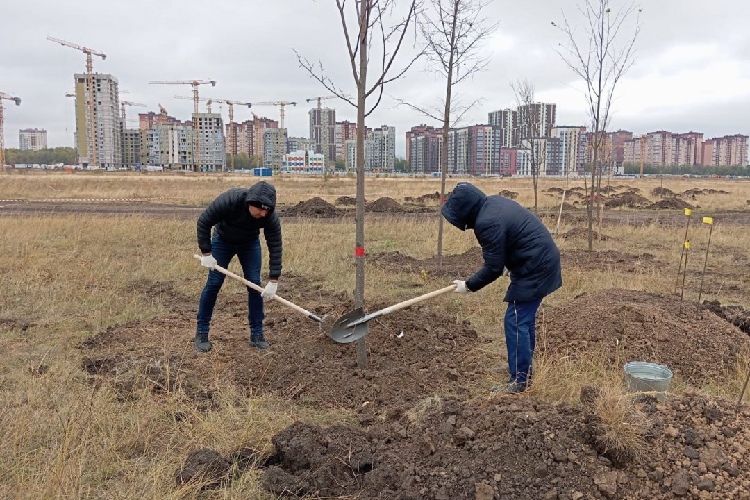 В донской столице создается новая парковая зона отдыха